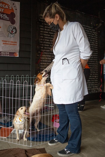 Balbúrdia Cervejeira promove encontro de cães adotados em Blumenau e Itajaí