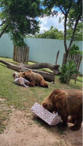 Presentes de Natal são distribuídos para os animais do Zoo Pomerode