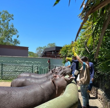 Férias escolares: bioparque Zoo Pomerode é o destino para curtir em Santa Catarina
