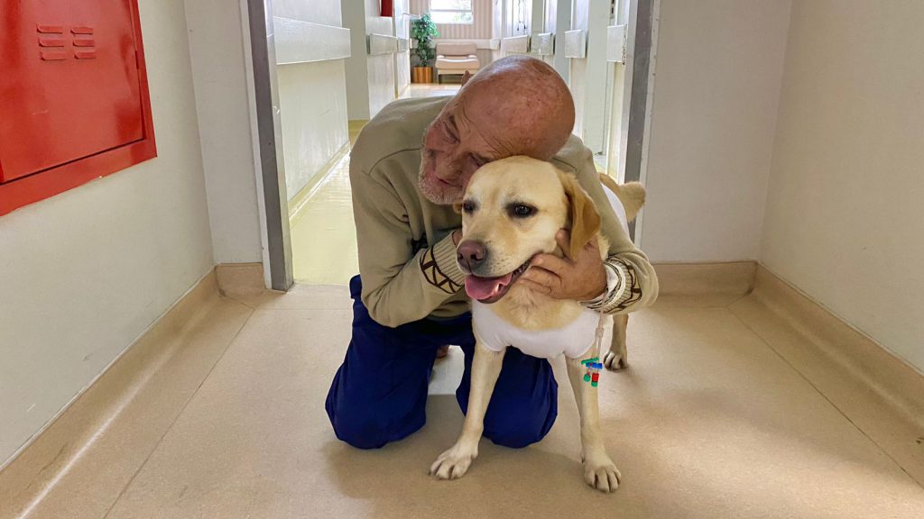 Labradora dos Bombeiros faz visita quinzenal aos pacientes oncológicos do Hospital Marieta