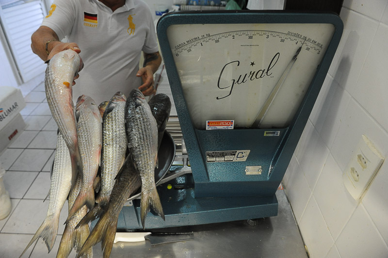 Varejo registra até 30% de aumento nas vendas com a Semana do Pescado