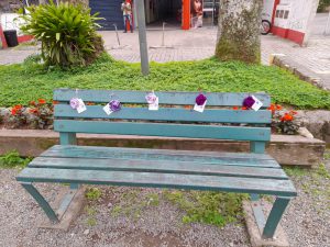Rosas de crochê na cor lilás para o fim da violência contra a mulher. Estudantes da Univille e voluntárias produzem e distribuem símbolo da campanha “Rosas Contra a Violência” na universidade e no Centro de Joinville